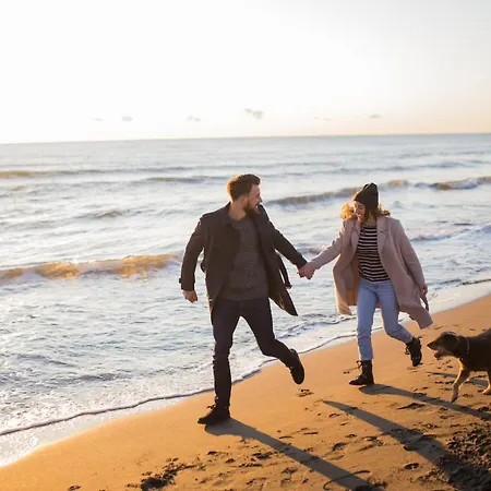 Apartment Winkelschiffchen Iii Mit Sauna Juist